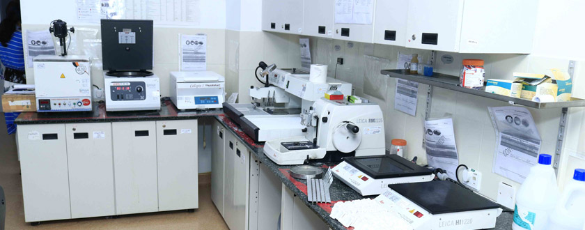 Laboratory Image